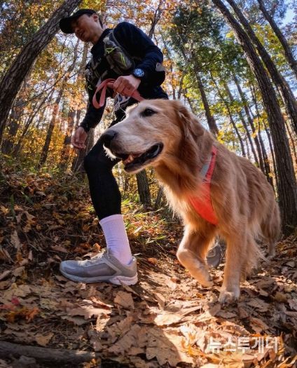 포천시, ‘2025 포천 펫스타’ 10월 25일 개최…한탄강 댕댕트레킹 참가팀 선착순 모집