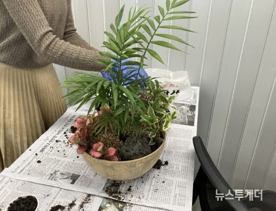 2025 도시농업 학술 토론회와 반려식물 시화 작품 전시회