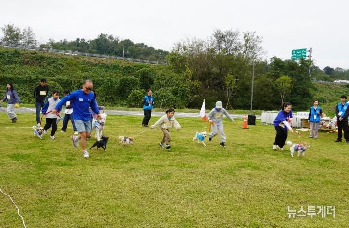 반려마루화성 홈커밍데이 (2) 경기사진