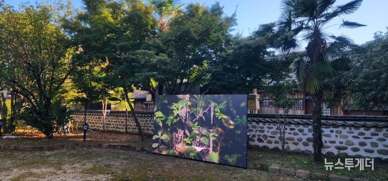 광양 서울대학교 남부연습림 관사...빛의 캔버스로 변신 - 관광과(서울대학교 남부연습림 관사에 설치된 고휘 작가의 ‘사라지는~