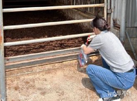 축제장·축사 ‘고위험병원체’ 미검출