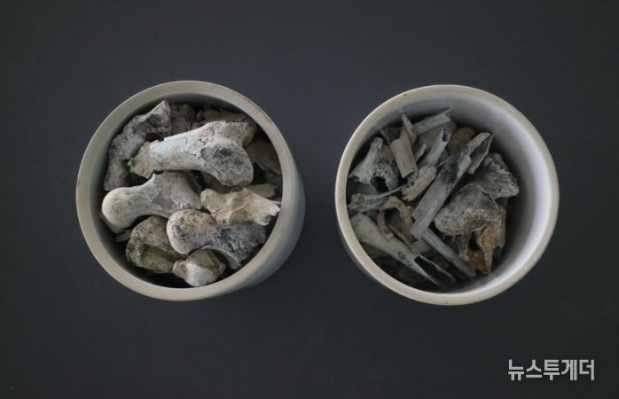 2005년 3월 경상북도 포항시 북구 흥해읍 도음산 정상에서 발굴한 국군 제8사단 10연대 소속의 고(故) 양이한 일병의 유해