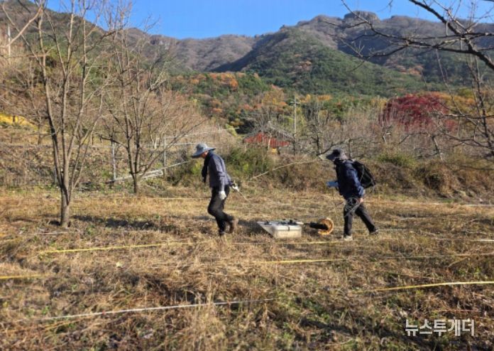 김천 갈항사지 GPR탐사 시범조사 모습 (2025년 11월)