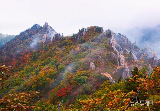 금상 어승완 공룡능선의비경(경기 군포)