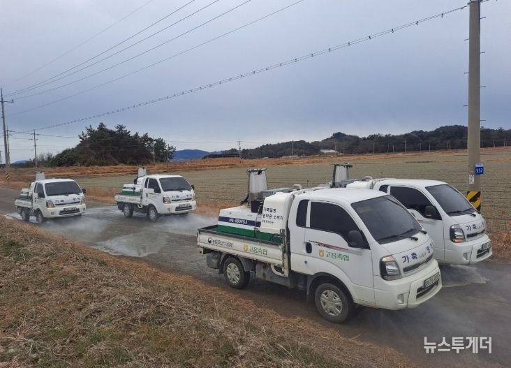 고병원성 조류 인플루엔자(AI) 차단방역 총력 대응