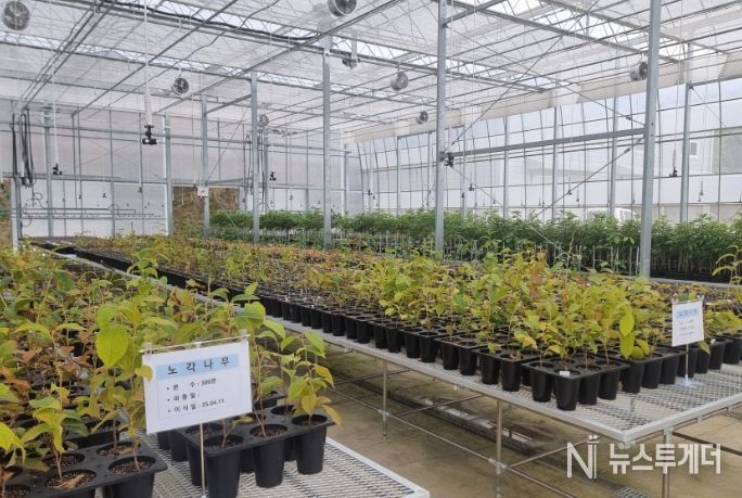 ‘디지털 기반 산림자원 원물 양성화’ 공모사업