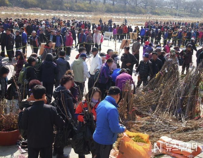 청주시, 식목일 기념 나무 나누어주기 행사 개최