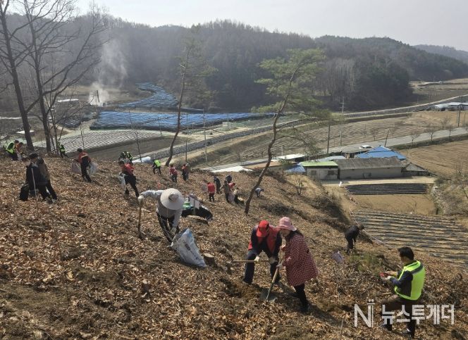 봉화군, 제81회 식목일 나무심기행사 개최