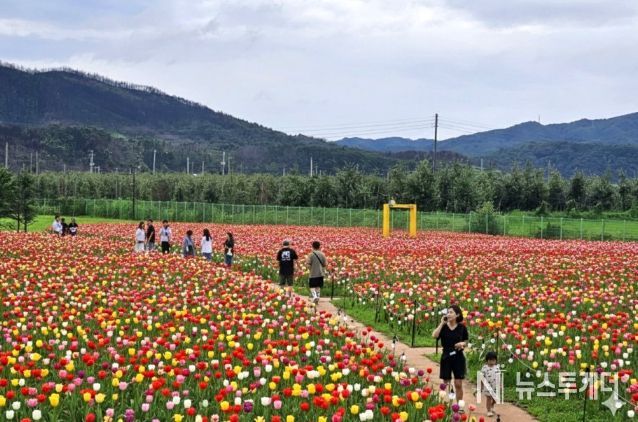 안동포타운, 안동포세대공감페스타 개최