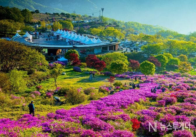 제30회 황매산 철쭉제 개최